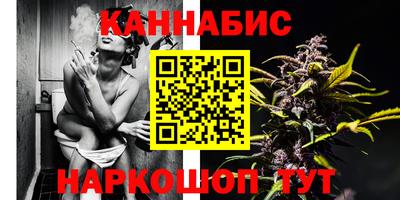apvp Гатчина