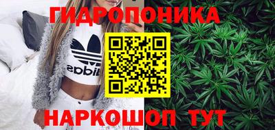 индика Волжский