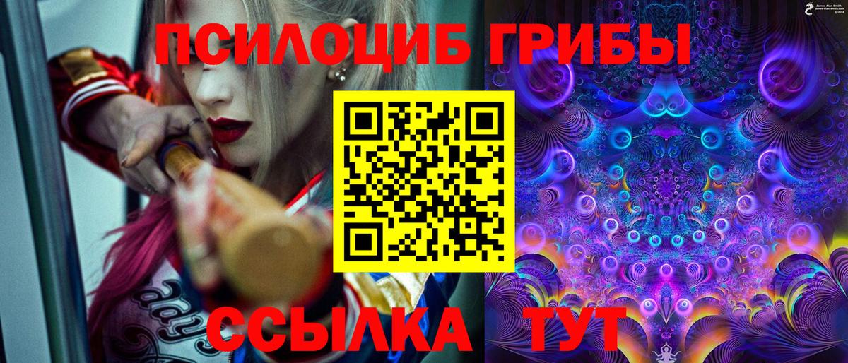 Галлюциногенные грибы MAGIC MUSHROOMS Зерноград