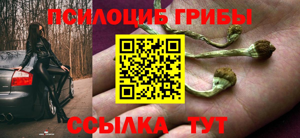 купить закладку  Галлюциногенные грибы ЛСД  Вход с VPN  Зерноград  Галлюциногенные грибы MAGIC MUSHROOMS 